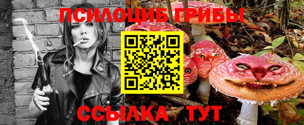 Галлюциногенные грибы Magic Shrooms  Псилоцибиновые грибы Psilocybe  Михайловск  Вход с VPN 