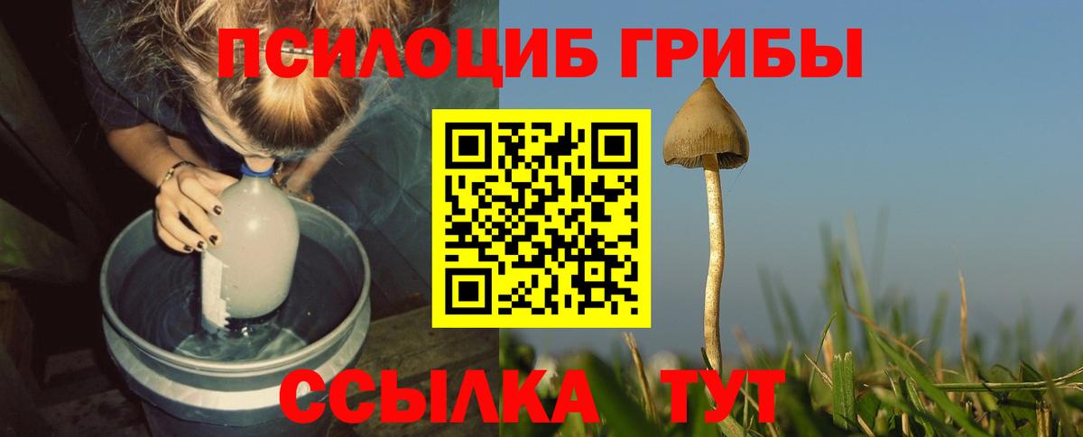 Псилоцибиновые грибы Magic Shrooms Михайловск